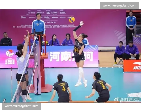 中韩女排强强对话中国女排迎战韩国队冲击关键胜利之战赛场焦点